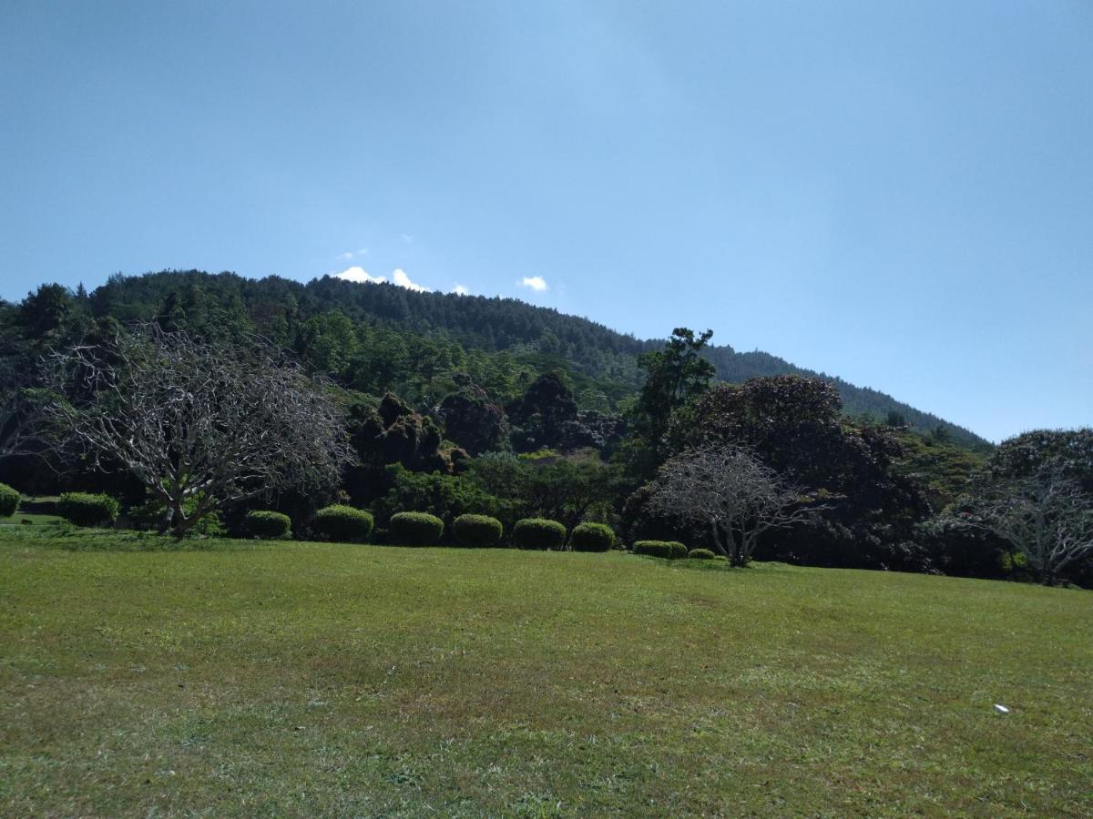 Riverview Guest Kandy Dış mekan fotoğraf