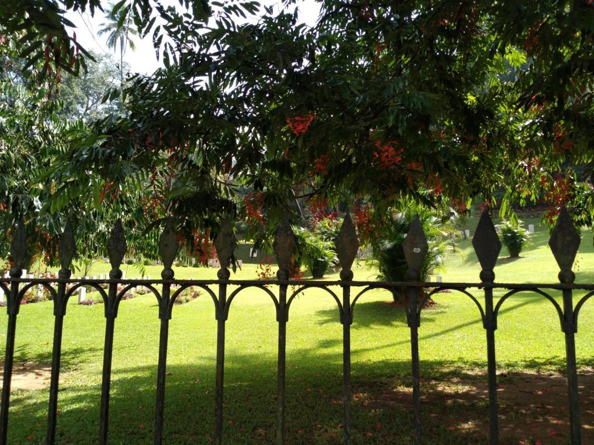 Riverview Guest Kandy Dış mekan fotoğraf