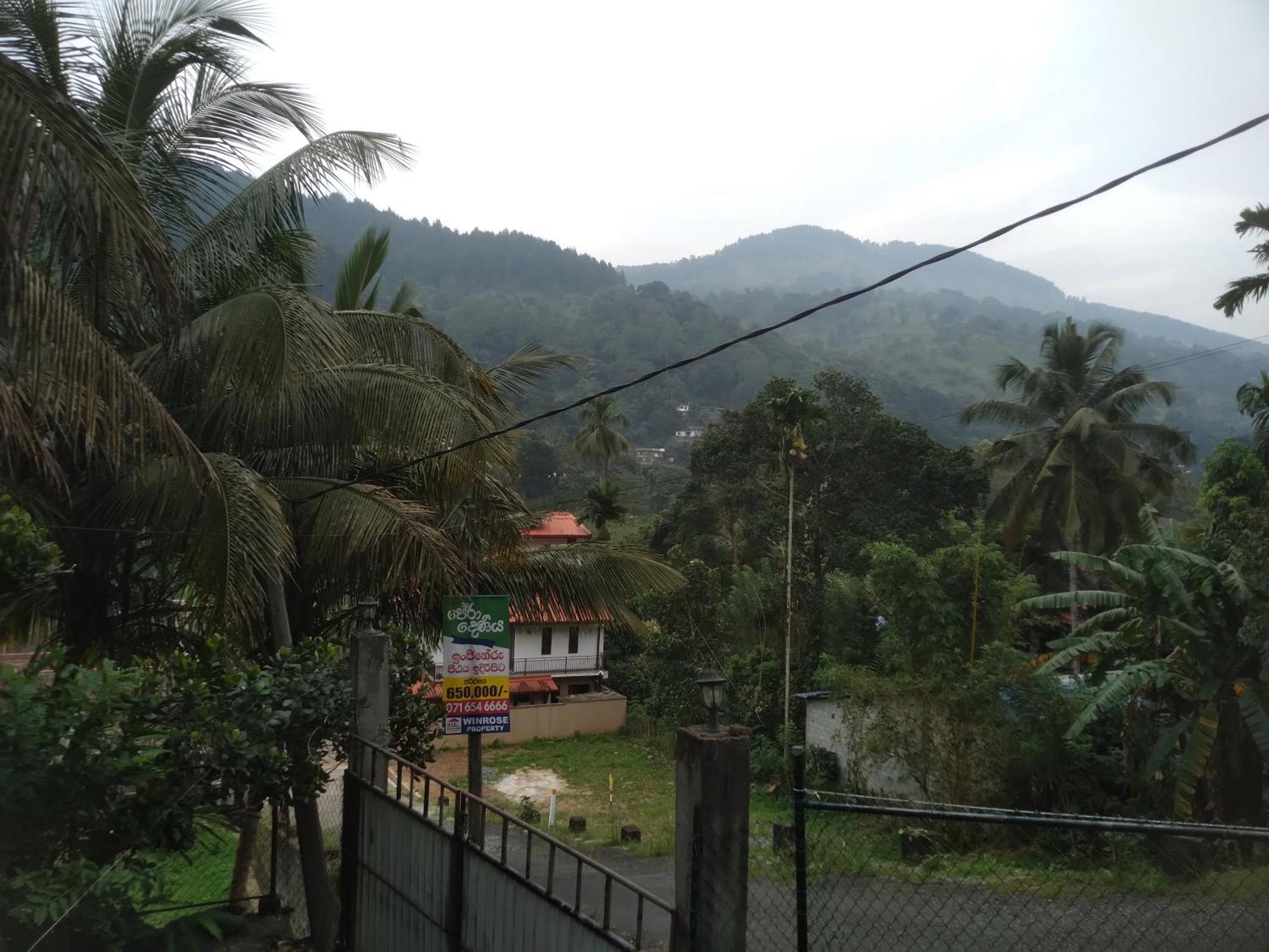Riverview Guest Kandy Oda fotoğraf